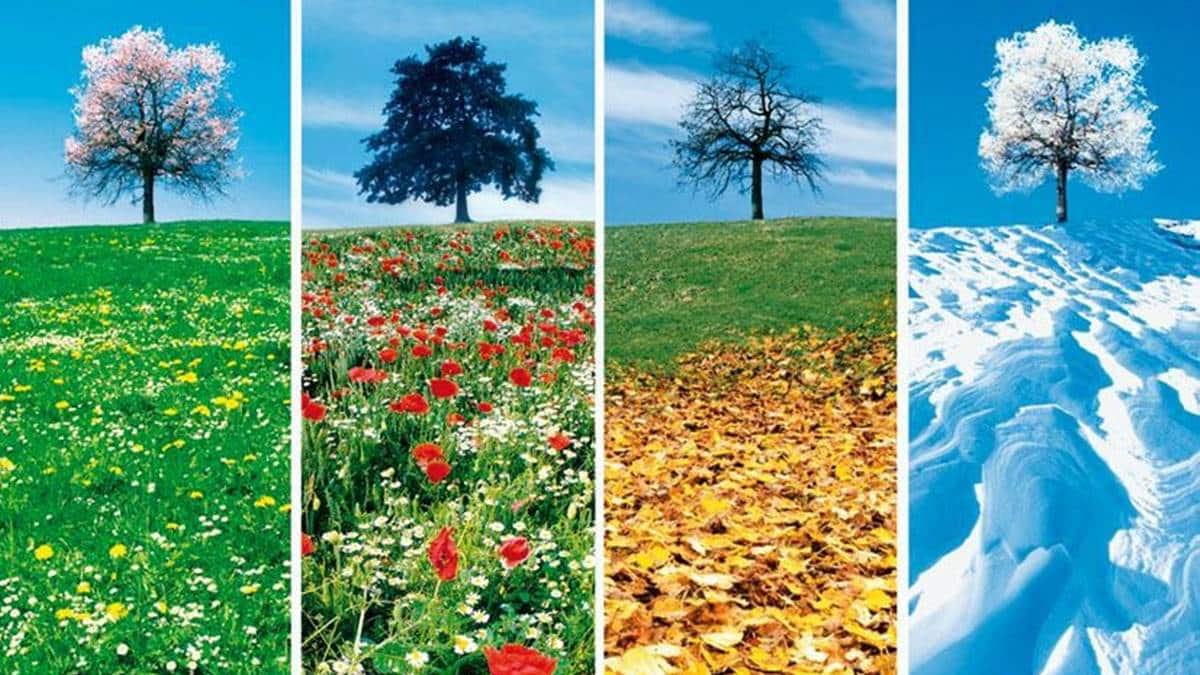 climat-meteo-saison-JAF-Jardinerie