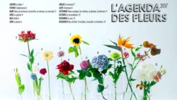 OHF-Agendadesfleurs2017-JAF-Jardinerie-Fleuriste