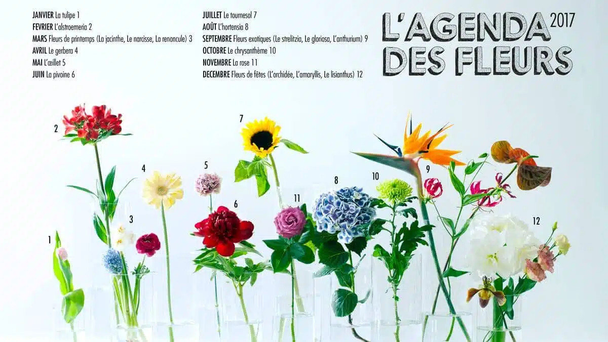 OHF-Agendadesfleurs2017-JAF-Jardinerie-Fleuriste