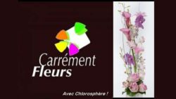 carrement-fleurs-chlorosphere-jaf-fleuriste