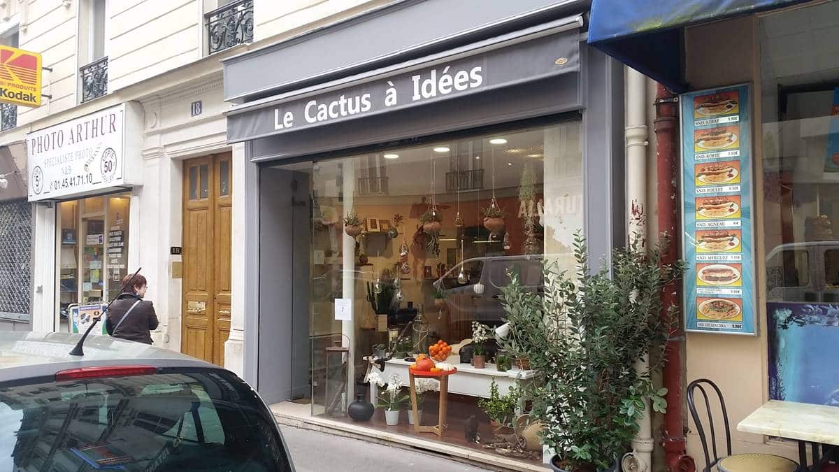 Cactus-A-Idees-Pascale-Denain-Paris-14-2016-Jaf-Fleuriste-Jardinerie20161028-001