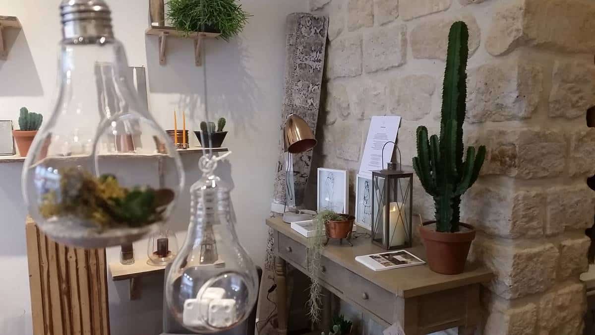 Cactus-A-Idees-Pascale-Denain-Paris-14-2016-Jaf-Fleuriste-Jardinerie20161028-010