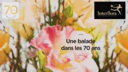 70-ans-interflora_une-balade-jaf-fleuriste