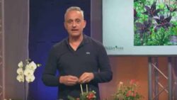 Facebook live bakker Philippe Collignon- JAF-Info- jardinerie