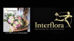 abonnement fleurs interflora - JAF-info Fleuriste