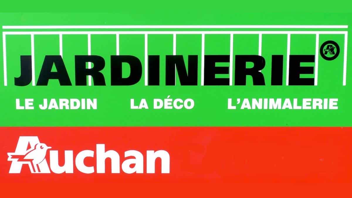 Nouvelle Aquitaine Ouverture Dune Jardinerie Auchan à