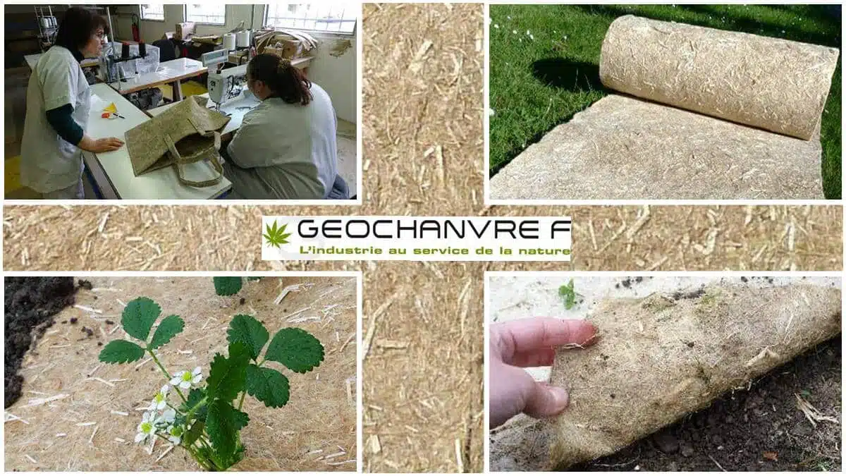 Geochanvre - JAF-info Jardinerie