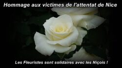 Roseraie-Meilland-hommage Nicois attentat JAF info Fleuriste