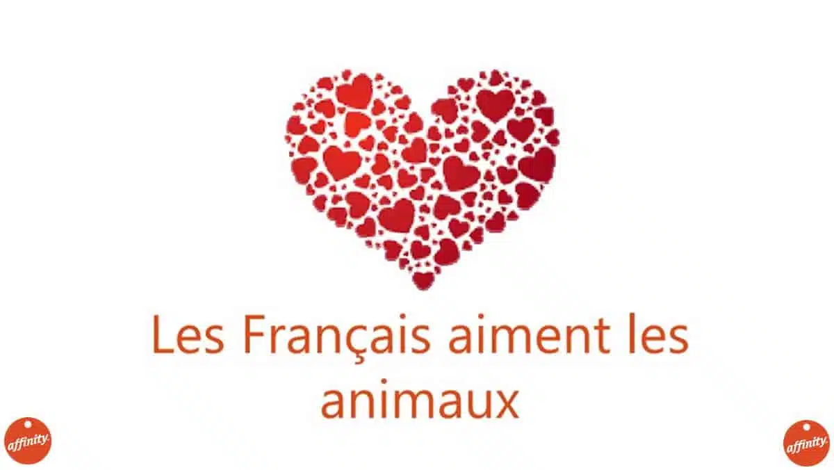 etude affinity petcare les francais aiment les animaux - JAF-info - Animalerie