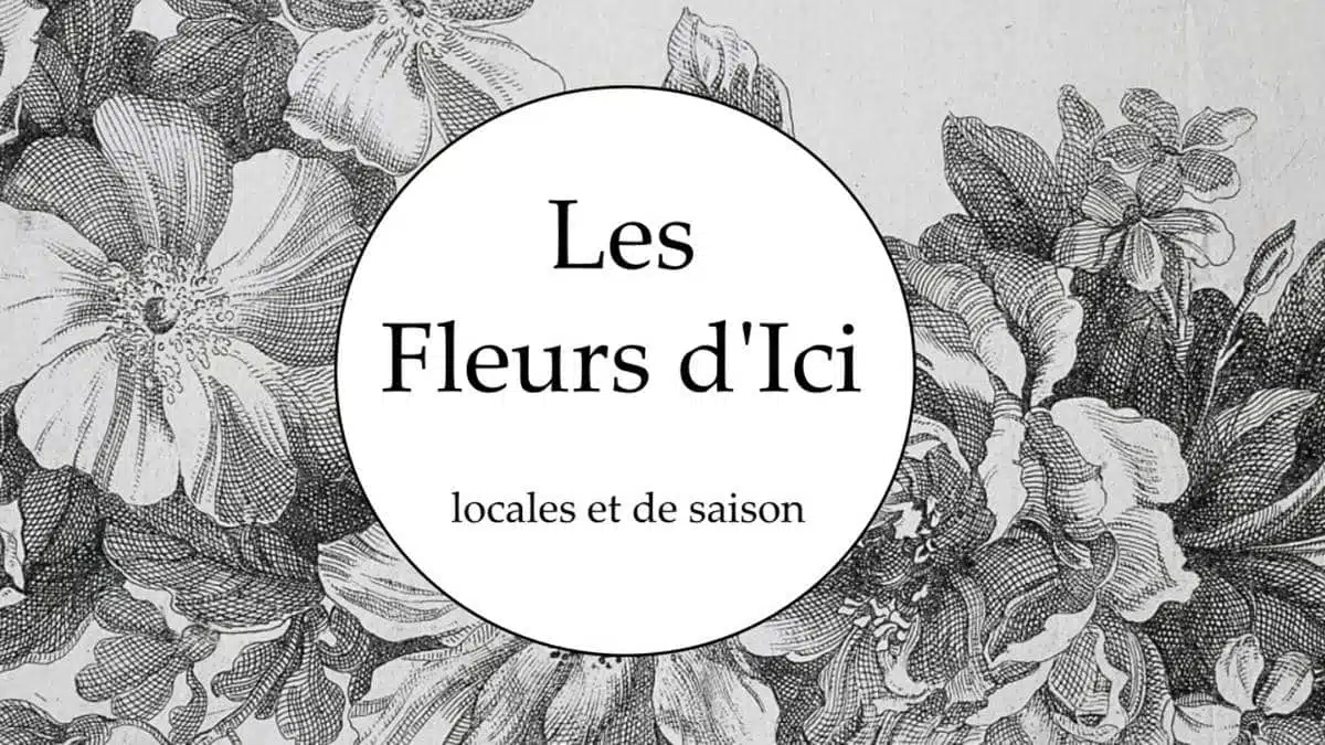fleurs d'ici - JAF-info - Fleuriste