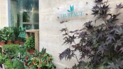 pop up store jardinerie Truffaut -JAF-info- Jardinerie 51