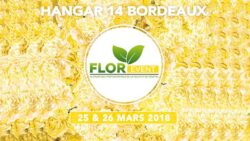 FlorEvent bordeaux - JAF-info - Fleuriste