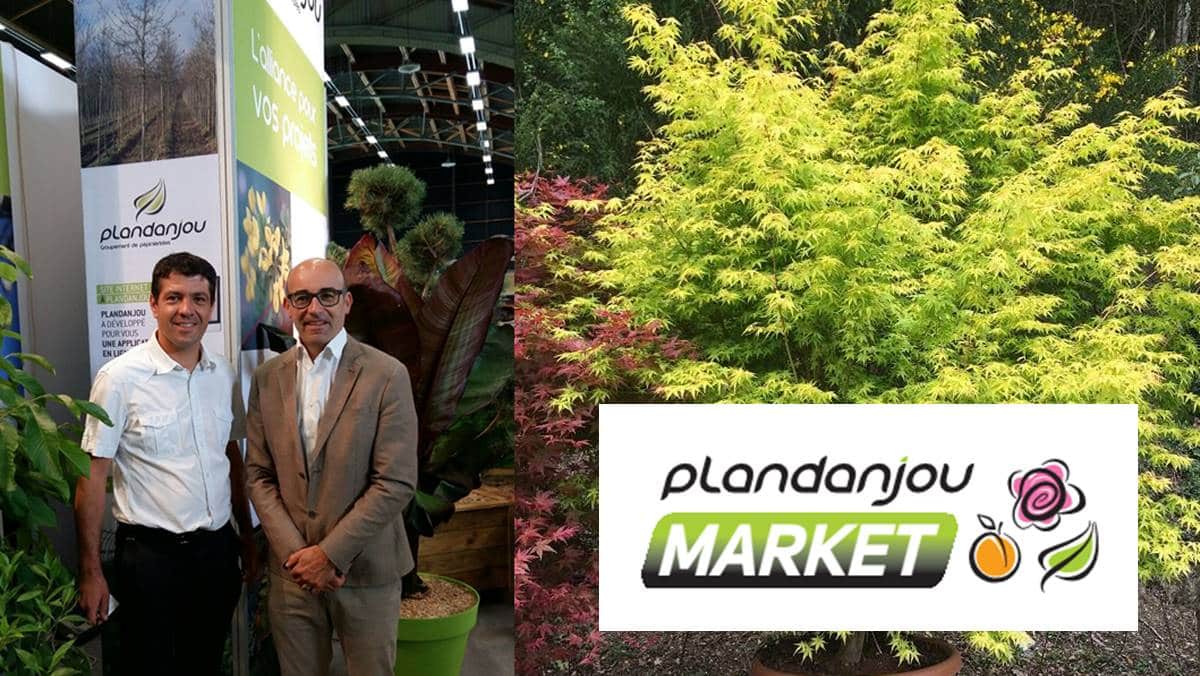 plandanjou market - JAF-info - jardinerie