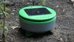 tertill robot anti mauvaise herbe - JAF-info - Jardinerie