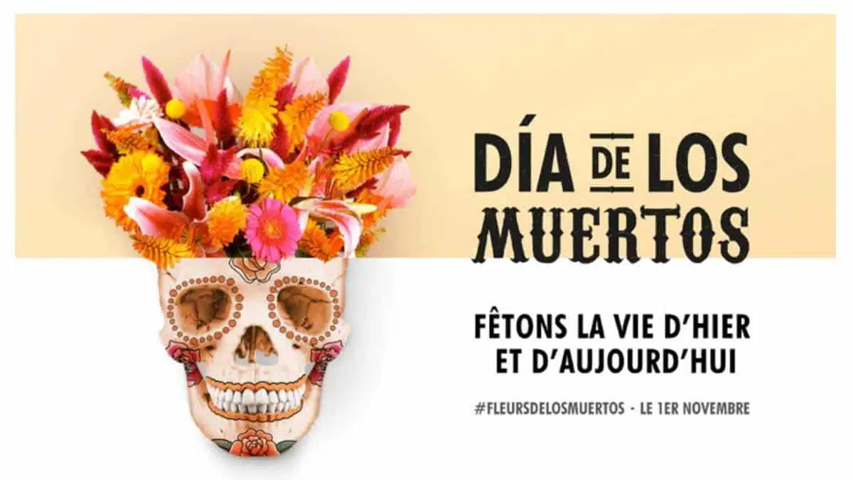 Dia de los muertos - joie des fleurs - JAF-info - Jardinerie Fleuriste