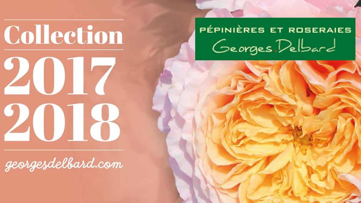 Roseraie Delbard 2017 2018 - JAF-info - Jardinerie Fleuriste