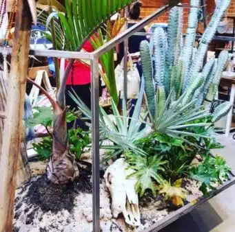 Exclusif – Manuel Rucar Chlorosphere – Envoyé spécial au Congres International des Jardineries – Toronto 2017 – Jour 2
