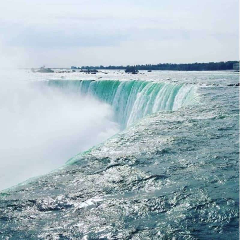 [Photo] Manuel Rucar – Congres International Des Jardineries – Toronto 2017