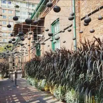 Exclusif – Manuel Rucar Chlorosphere – Envoyé spécial au Congres International des Jardineries – Toronto 2017 – Jour 2