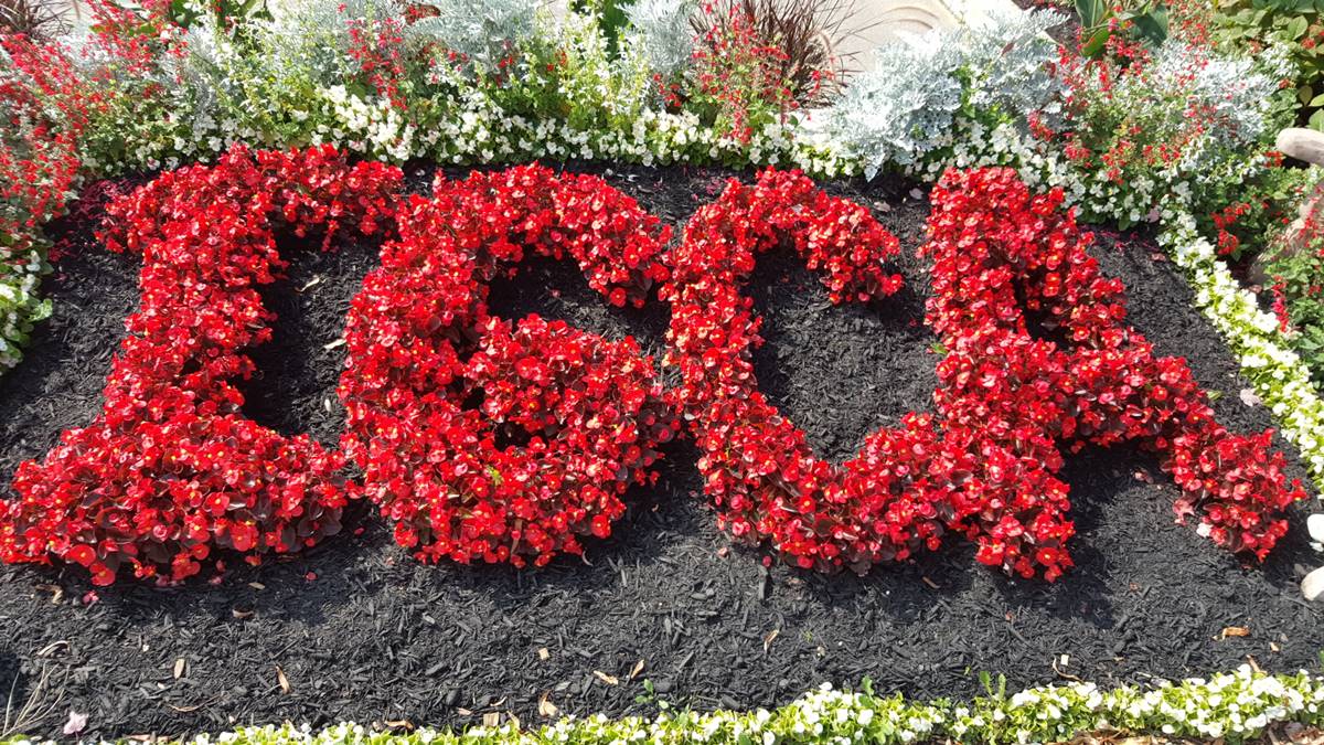 [Photo] Manuel Rucar – Congres International Des Jardineries – Toronto 2017