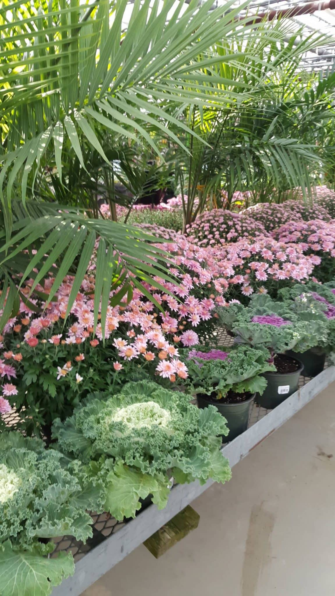 [Photo] Manuel Rucar – Congres International Des Jardineries – Toronto 2017