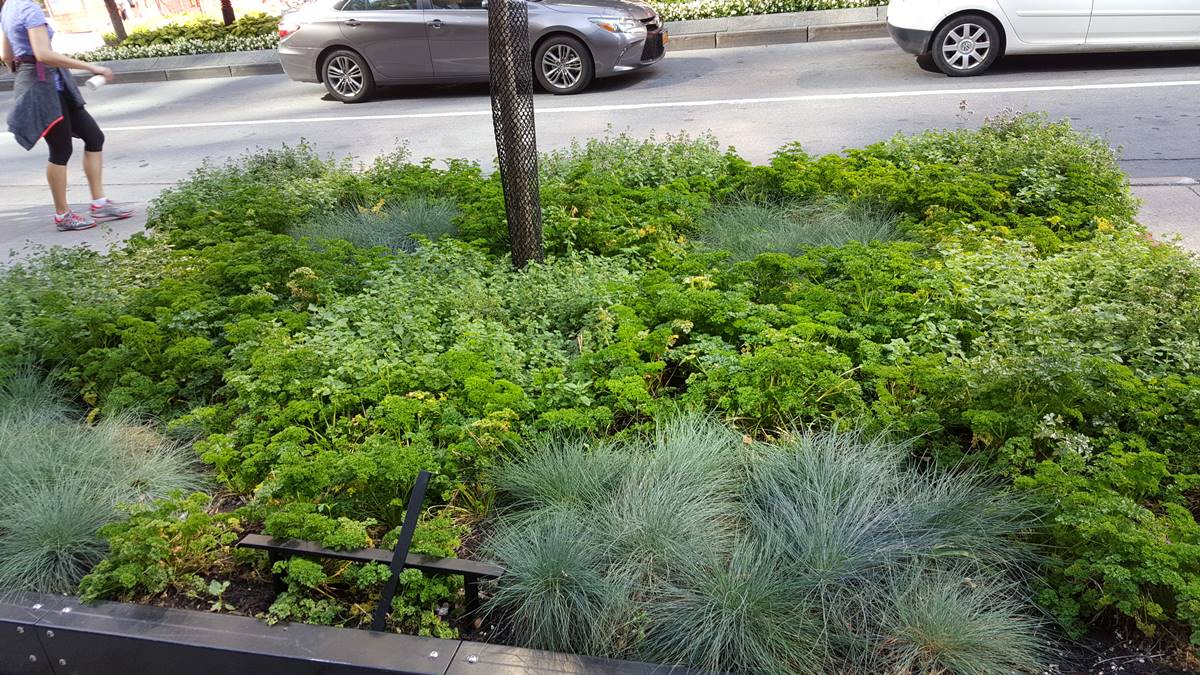 [Photo] Manuel Rucar – Congres International Des Jardineries – Toronto 2017