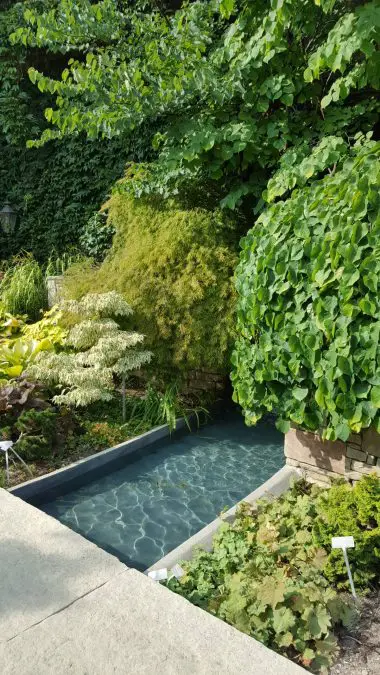 Exclusif – Manuel Rucar Chlorosphere – Envoyé spécial au Congres International des Jardineries – Toronto 2017 – Jour 1
