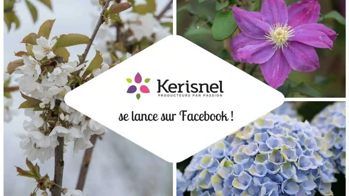 kerisnel - facebook - JAF-info - Jardinerie