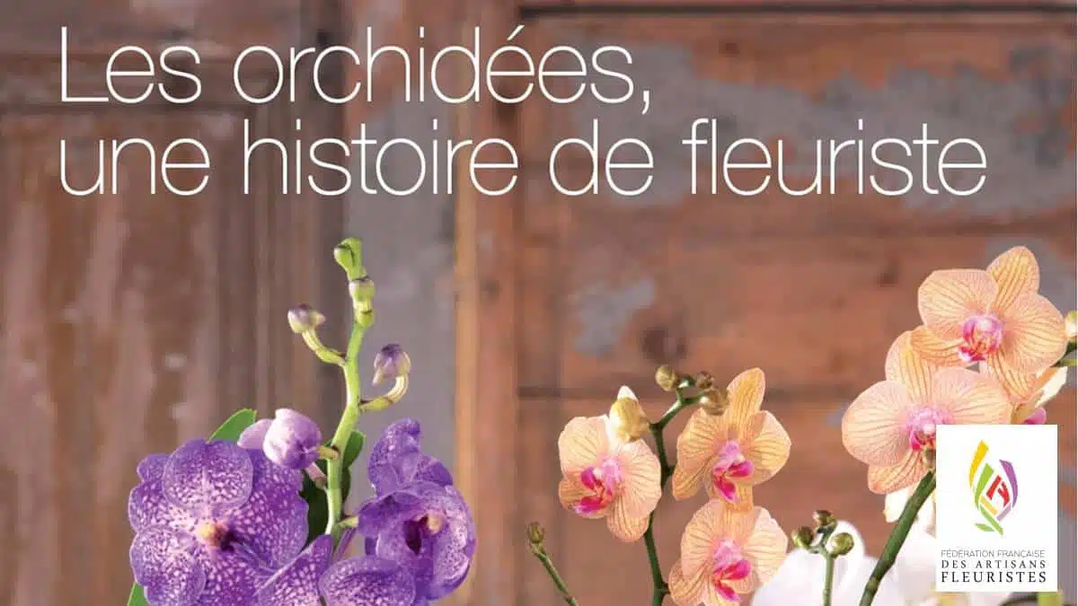 ffaf - orchidées une histoire de fleuriste JAF-info Fleuriste