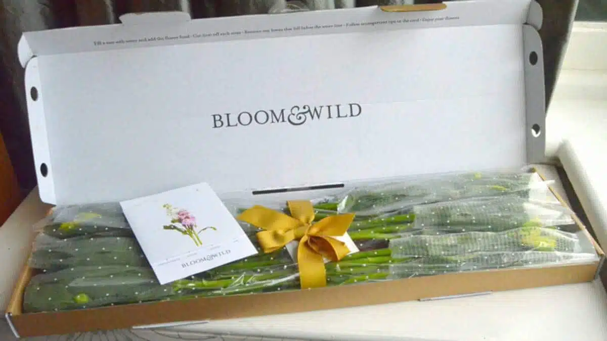 bloom-wild-fleuriste - JAF-info - Fleuriste