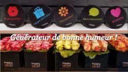 Fleuriste Emova Group - Happy - Paris Bazeille - JAF-info - Fleuriste - 20171201-005 -2
