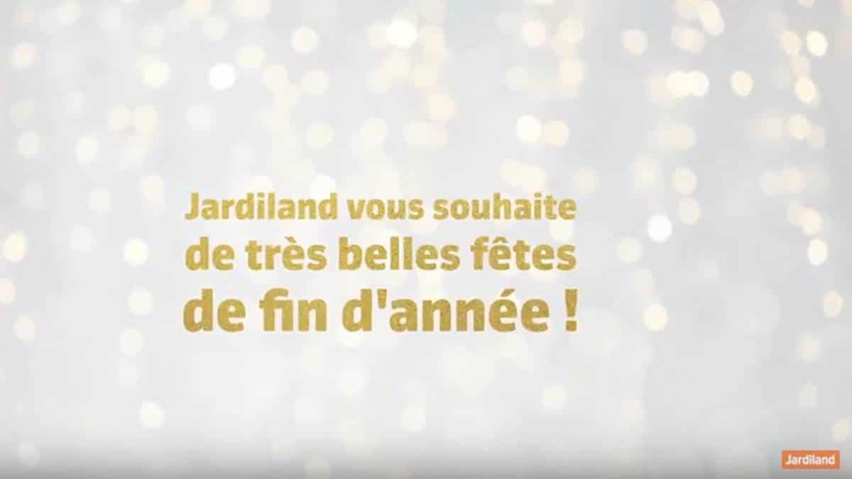 Jardiland Betisier 2017 - JAF-info Jardinerie Animalerie Fleuriste