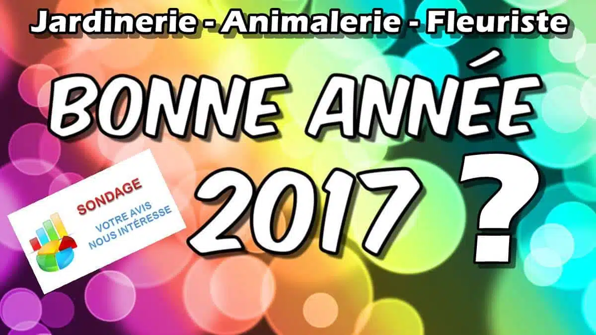 Sondage - bonne-année-2017-JAF-Jardinerie-Animalerie-Fleuriste
