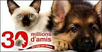 30 Millions D'Amis - Jaf-Info