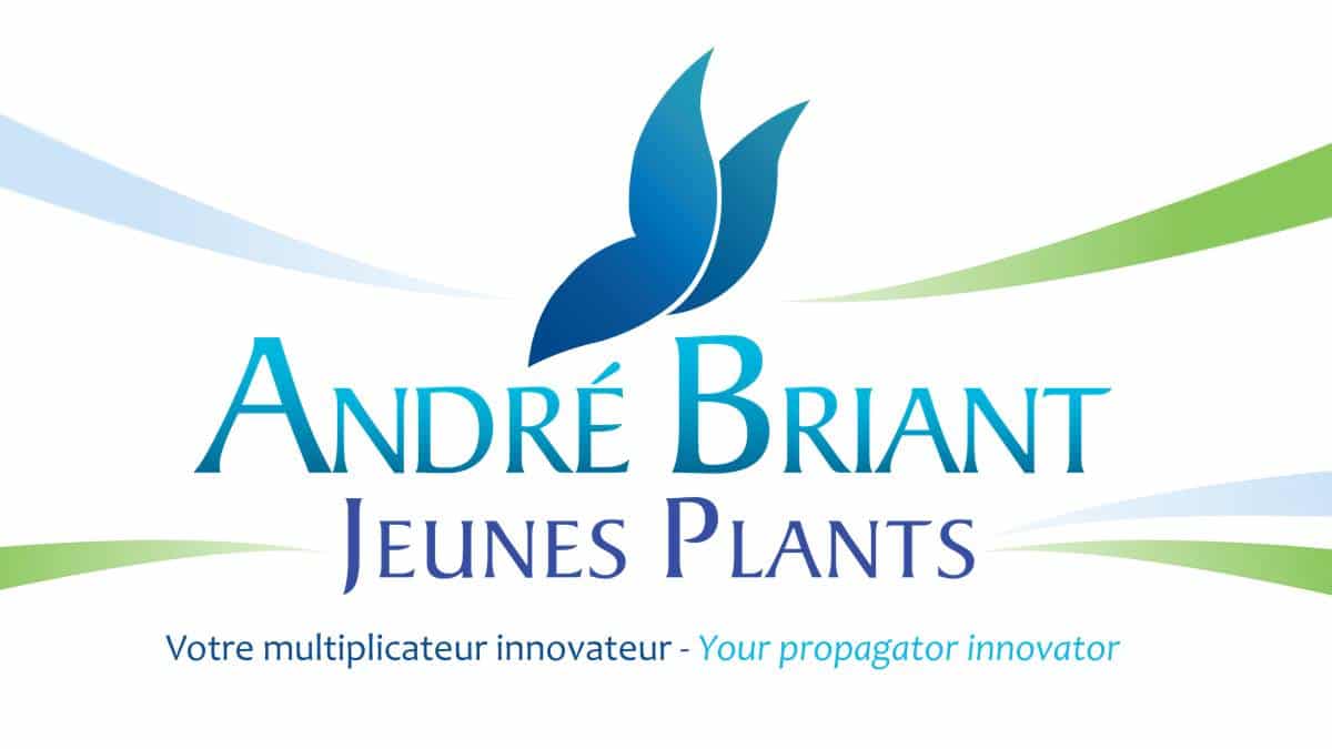 Andre Briant Jeunes Plants - JAF-info Jardinerie