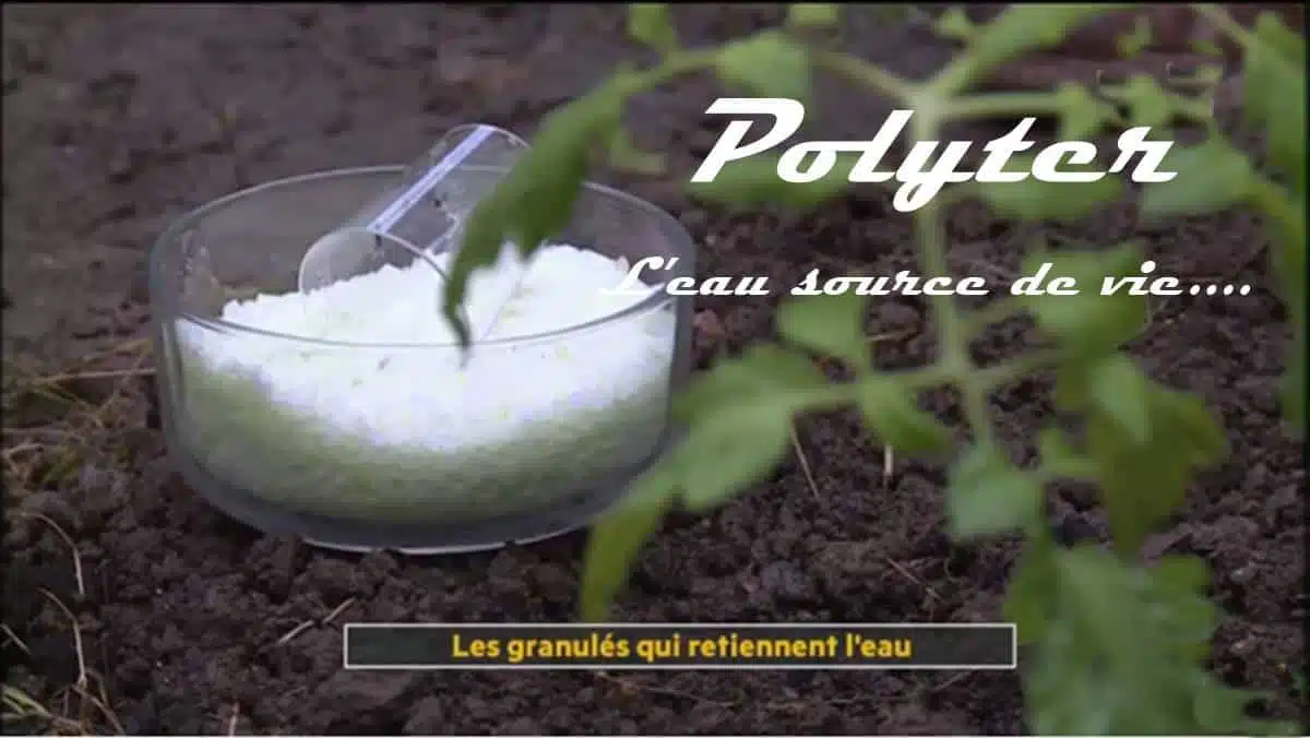 Les granulés qui retiennent l eau polyter JAF-info Jardinerie Fleuriste