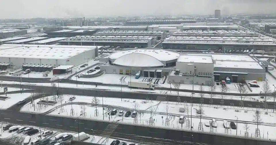 Rungis - sous la neige - 2018 - JAF-info Fleuriste