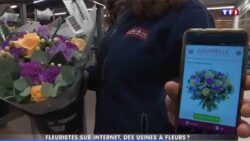 Saint Valentin les usines à fleurs tournent à plein régime Le journal de 20h TF1 JAF-info Fleuriste