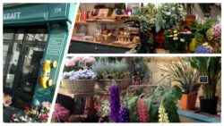 Jardinerie urbaine - fleuriste - jouet - kraft - JAF-info