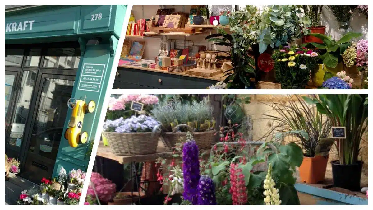 Jardinerie urbaine - fleuriste - jouet - kraft - JAF-info