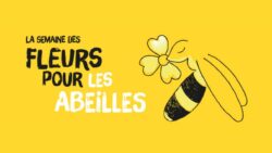 Semaine des fleurs pour les abeilles - ValHor - JAF-info Jardinerie Fleuriste