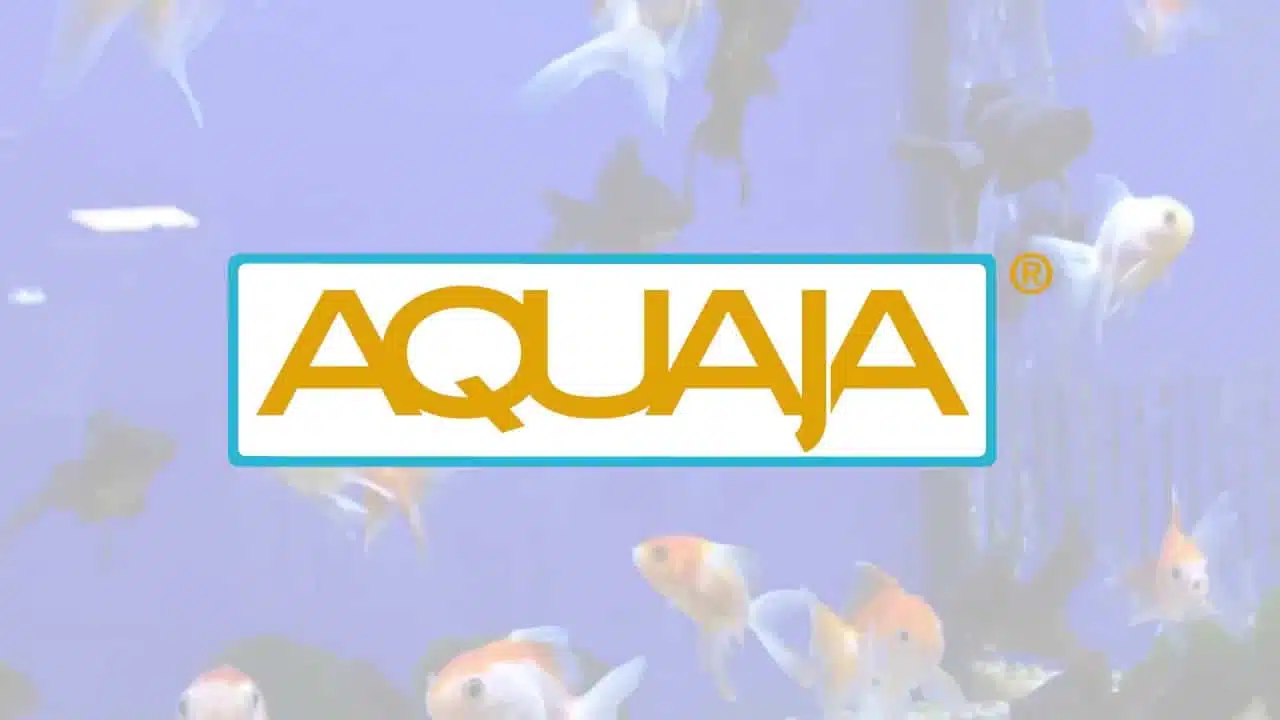 Company video of Aquaja: Pet & Aquatic shopfitting specialist based in the Netherlands!