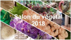 Salon du végétal 2018 Fleuriste JAF-info Jardinerie Animalerie Fleuriste