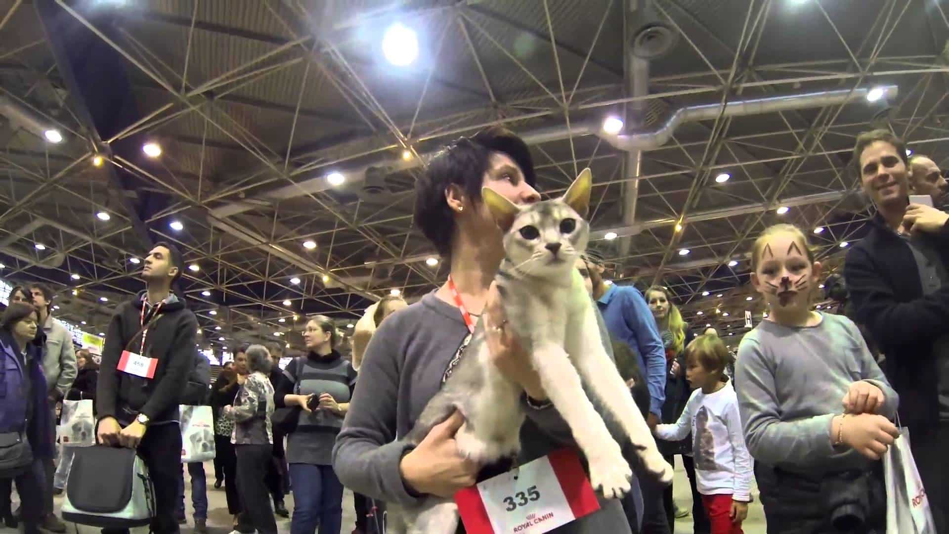 Animo&Cie - Lyon Eurexpo - 8 et 9 Novembre 2014