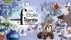 Décorations de Noël Truffaut 2015 - Jardinerie Truffaut TV