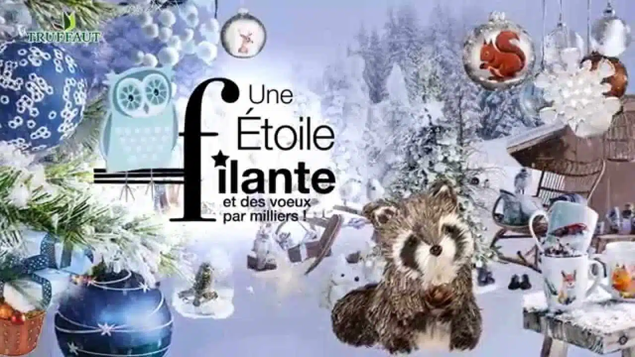Décorations de Noël Truffaut 2015 - Jardinerie Truffaut TV