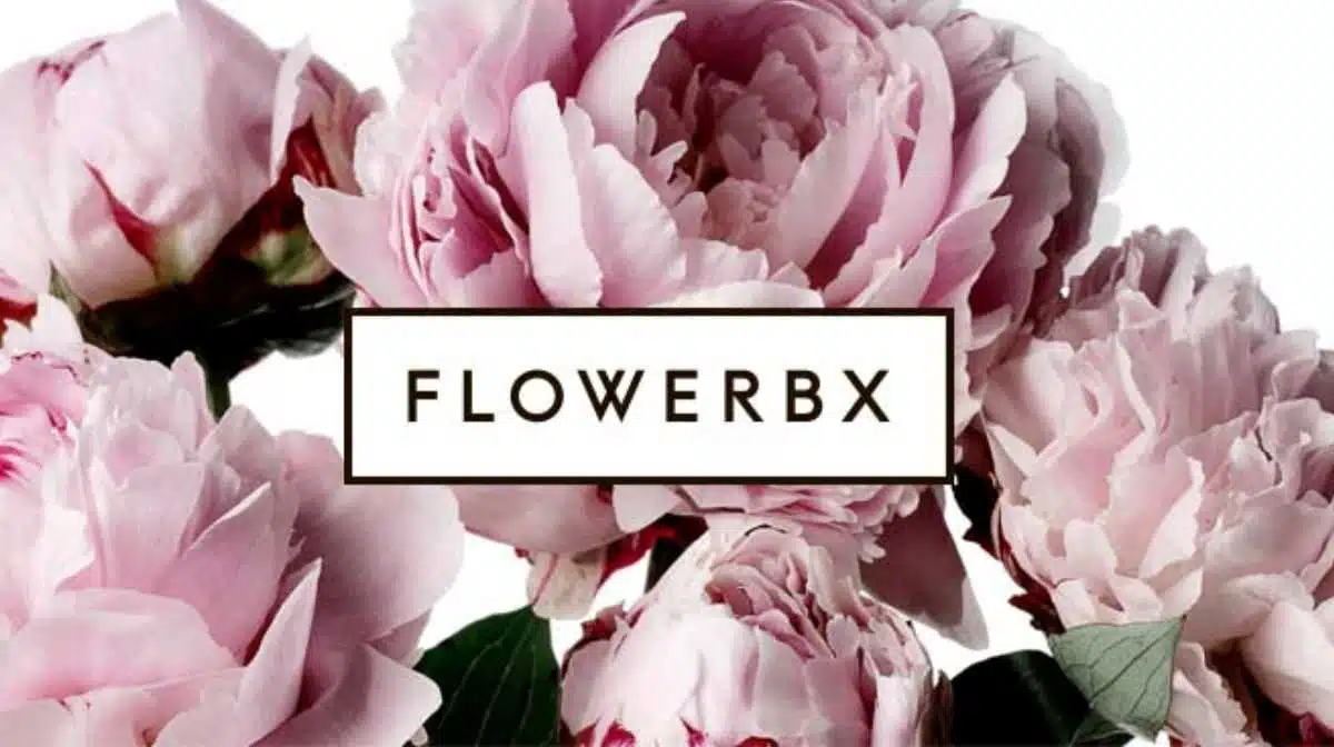 flowerbx JAF-info Fleuriste