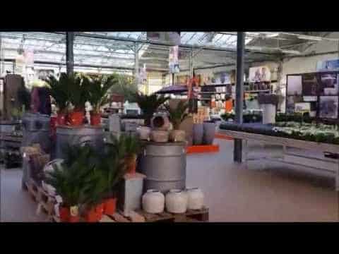 JARDINERIE LES COMPAGNONS DES SAISONS - VILLENEUVE D'ASCQ