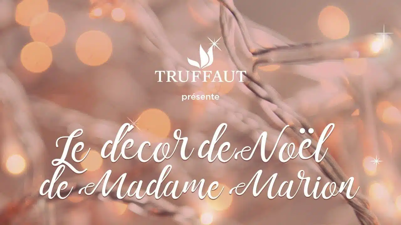 La décoration de Noël de Madame Marion - Jardinerie Truffaut