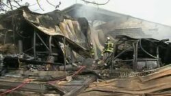 Montferrand : Jardiland ravagé par les flammes